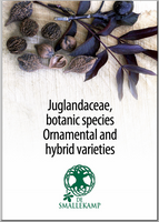 juglandaceae botanic species ornamental and hybrid varieties