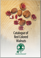 red colores walnuts