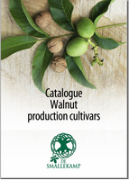 walnus productions cultivars