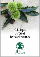 castanea eetbare kastanjes