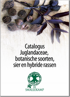 juglandaceae botanische soorten sier en hybride rassen
