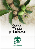 walnoten productie rassen